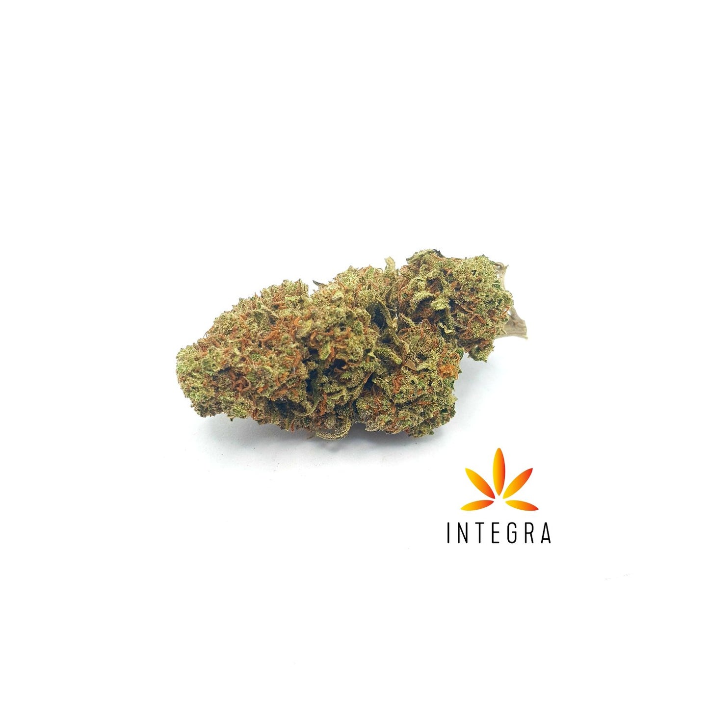 Mariposa 14% CBD