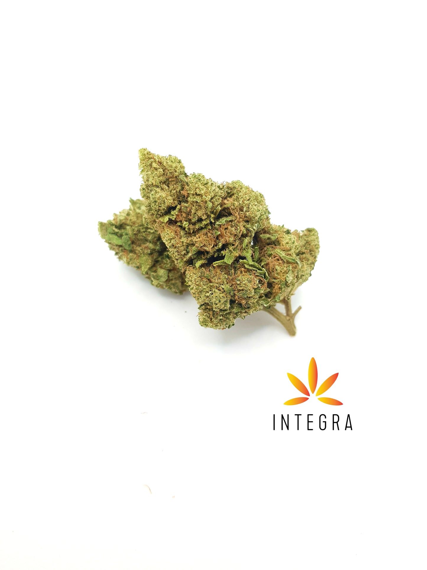 Thecla 15% CBD