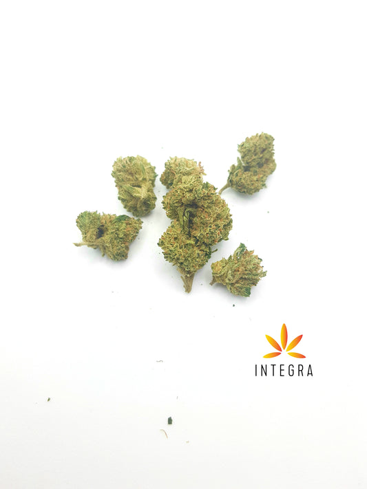 Cattleya 10% CBD